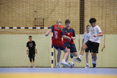 IMG_2064_1024x683