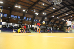 IMG_2078_1024x683