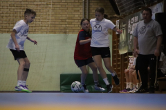 IMG_2082_1024x683