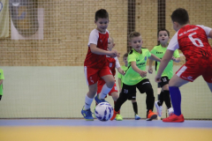IMG_2101_1024x683