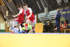 IMG_2115_1024x683