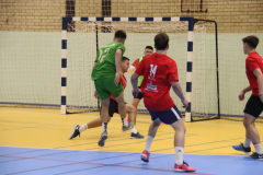 IMG_2400_1024x683