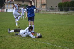 DSC_0362_1024x683
