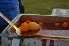 DSC_0459_1024x683