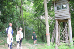 IMG_5368_1024x683