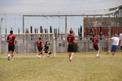 IMG_3776_1024x683