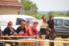 IMG_3803_1024x683