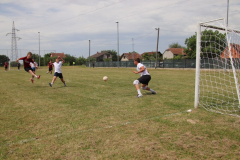 IMG_3807_1024x683