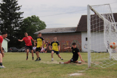 IMG_3926_1024x683