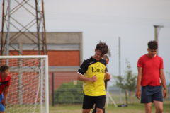IMG_3929_1024x683