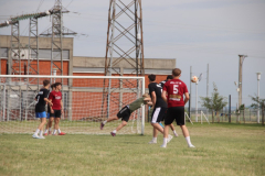 IMG_3949_1024x683
