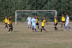 IMG_0180_1024x683