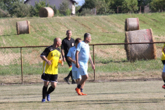 IMG_0197_1024x683