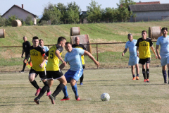 IMG_0198_1024x683