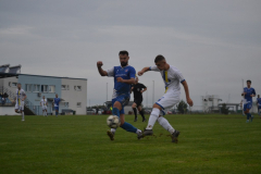 DSC_0180_1024x683