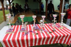 IMG_0080_1024x683