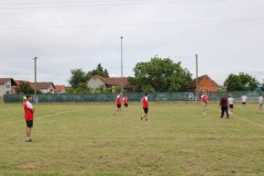 IMG_0113_1024x683