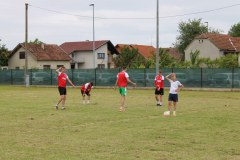IMG_0117_1024x683