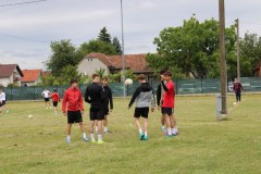 IMG_0142_1024x683