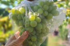 fark2_768x768 fark2_768x768