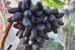 fark3_768x768 fark3_768x768