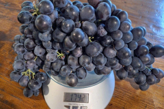 fark4_908x768 fark4_908x768