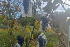 fark5_1024x768 fark5_1024x768