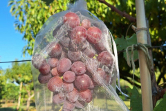 fark6_768x768 fark6_768x768