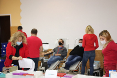 IMG_1721_1024x683