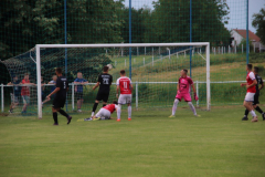 IMG_4053_1024x683