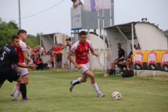 IMG_4059_1024x683