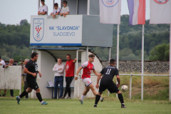 IMG_4074_1024x683