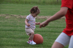 IMG_4195_1024x683