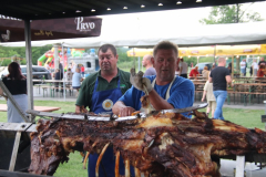 IMG_4240_1024x683