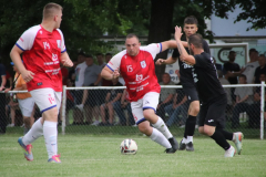 IMG_4354_1024x683