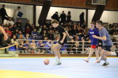 IMG_1618_1024x683