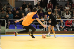 IMG_1619_1024x683