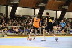 IMG_1654_1024x683