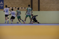IMG_3558_1024x683