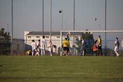 IMG_9905_1024x683