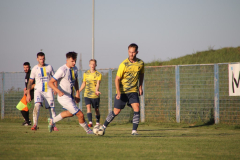 IMG_9928_1024x683