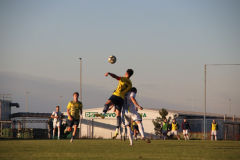 IMG_9972_1024x683