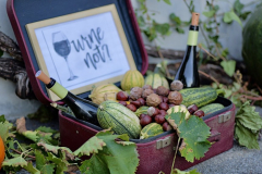 viber_slika_2025-10-04_21-58-46-174_1024x576