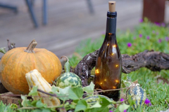 viber_slika_2025-10-04_21-58-46-302_1024x576