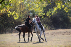 IMG_2815_1024x683