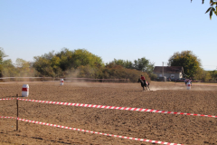 IMG_2972_1024x683