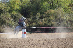 IMG_2978_1024x683