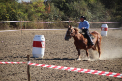 IMG_2990_1024x683