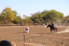 IMG_2993_1024x683
