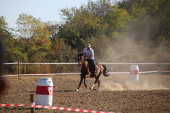 IMG_3001_1024x683